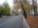 Проспект Рудаки