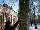 Даша и белка